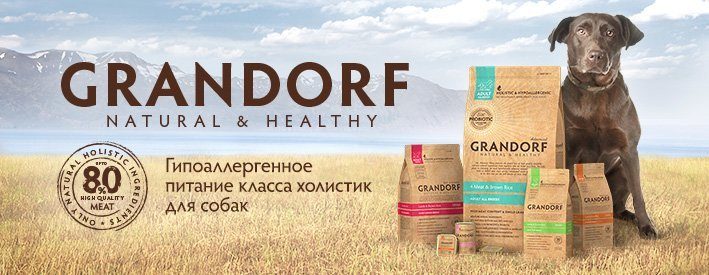 Grandorf: лучшие корма для крупных собак